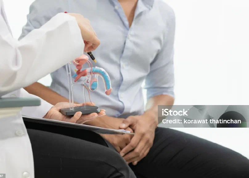 A clinician pointing to an anatomical model while a patient looks on