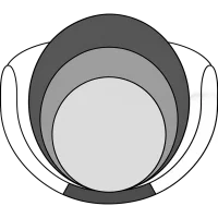 Society for Pelvic Research